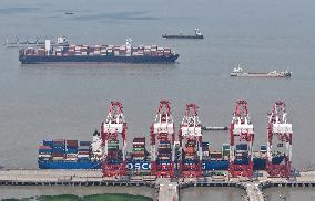 China Export Container Transportation Market