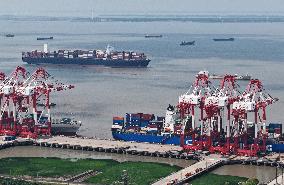 China Export Container Transportation Market
