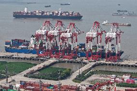 China Export Container Transportation Market