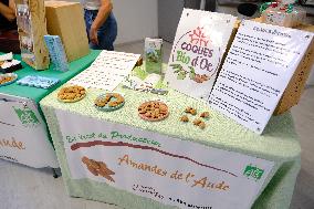 Organic Almond Tree Farm - France