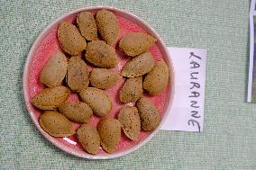Organic Almond Tree Farm - France