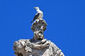 Pope Leo XIV Delivers His Blessing To The Faithful - Vatican