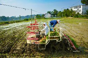 High Standard Farmland Construction