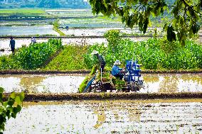 High Standard Farmland Construction