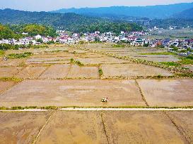High Standard Farmland Construction