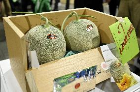 Premium melons from Hokkaido