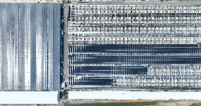 Digital Fish Warehouse in Huzhou