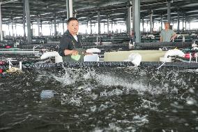 Digital Fish Warehouse in Huzhou