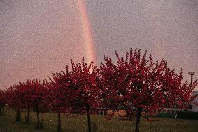 Rainbow