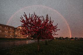 Rainbow