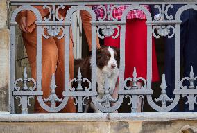 KING FREDERIK'S BIRTHDAY