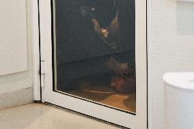 Piotr Pavlenski Arrested During the Trial of Mimi Marchand - Paris