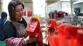 Flower industry in Rizhao