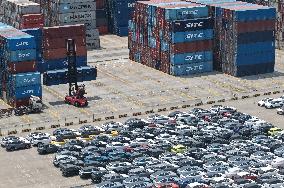 EV Export