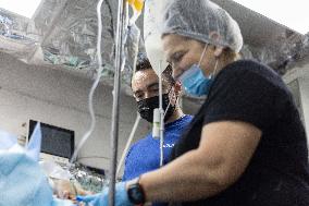 Ukrainian Medics Assist Wounded Soldier in Kharkiv