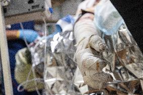 Ukrainian Medics Assist Wounded Soldier in Kharkiv