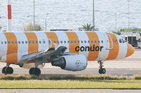 Illustration - New Condor Airlines Route Palermo to Rome - Italy