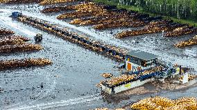 Wood industry