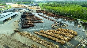 Wood industry