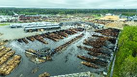 Wood industry