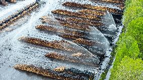 Wood industry