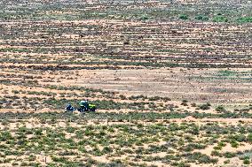Caragana Ecological Economic Industrial Chain in Ordos