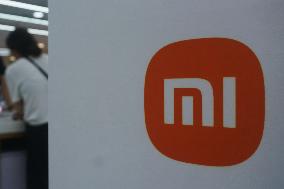 Xiaomi 2025 Q1 Profit Growth
