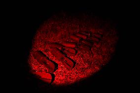 Ukraines Vampire drone crew in Zaporizhzhia direction