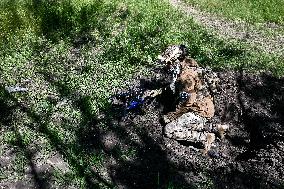 Drone operators perform combat tasks in Zaporizhzhia direction