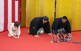 Sumo: Onosato promoted to yokozuna