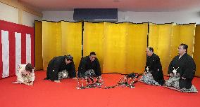 Sumo: Onosato promoted to yokozuna