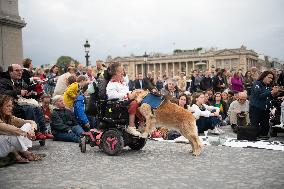 Catholics Protest Euthanasia Bill in Paris