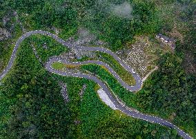 Eco-tourism Road