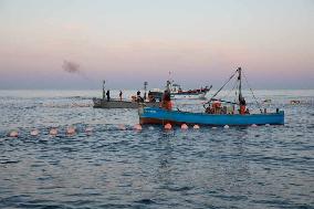 Levanta in Barbate - Cadiz