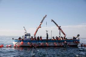 Levanta in Barbate - Cadiz
