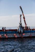 Levanta in Barbate - Cadiz