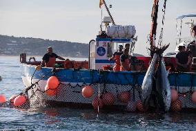 Levanta in Barbate - Cadiz