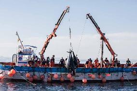 Levanta in Barbate - Cadiz