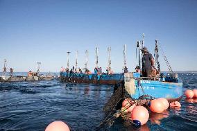 Levanta in Barbate - Cadiz