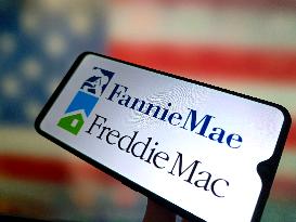 Illustration Fannie Mae and Freddie Mac