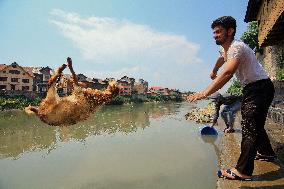 Kashmir Prepares For Eid Al Adha - India