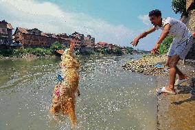 Kashmir Prepares For Eid Al Adha - India