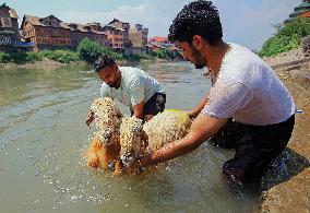 Kashmir Prepares For Eid Al Adha - India