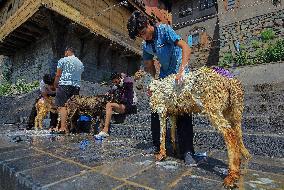 Kashmir Prepares For Eid Al Adha - India