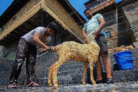 Kashmir Prepares For Eid Al Adha - India