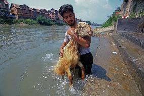 Kashmir Prepares For Eid Al Adha - India