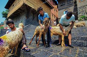 Kashmir Prepares For Eid Al Adha - India