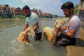 Kashmir Prepares For Eid Al Adha - India