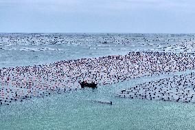 Marine Ranch