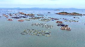 Marine Ranch
